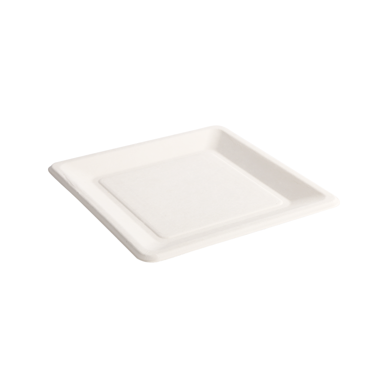 Beautiful appearance 10" Square tray L26.2*W26.2*H1.3cm