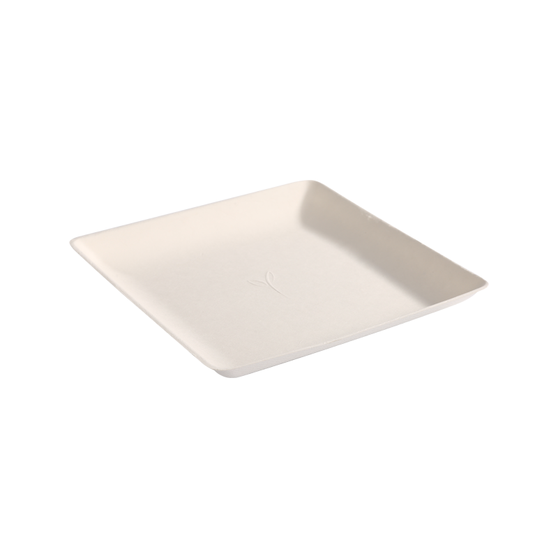 Strong usability 17cm*17cm Square biodegradable tray L17*W17*H2.0cm