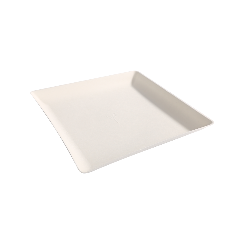 Affordable 22cm*22cm Square compostable tray L22*W22*H2.0cm