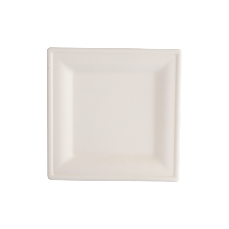 Recycling 6"disposable square tray L16*W16*H1.5cm