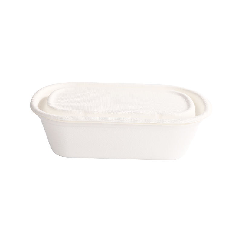 Affordable 950ml Single compartment container with lid L23.3*W13.5*H6.8cm
