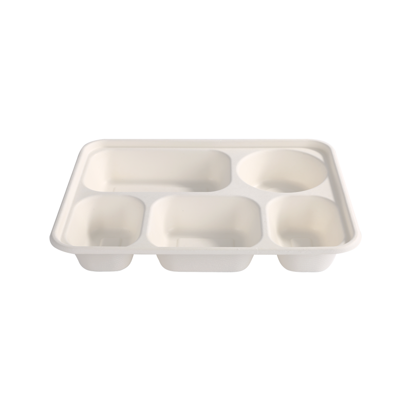 Degradable 5-Compartment Lunch Box L26*W22*H4.5cm